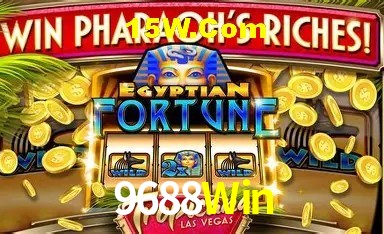 Sistemas de Segurança 9688Win